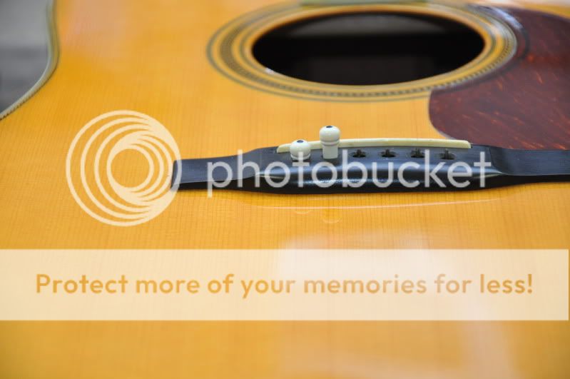 What is proper fit of bridge pins? The Acoustic Guitar Forum